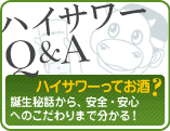 �n�C�T���[Q&A