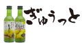 �n�C�T���[���t�@���イ����