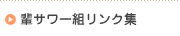 �n�C�T���[�g�����N�W