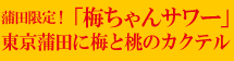 �{���E�L���b�E�{���I���K�J�����_�[2011�a��!